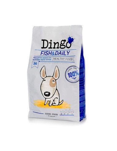 Dingo Fish Daily