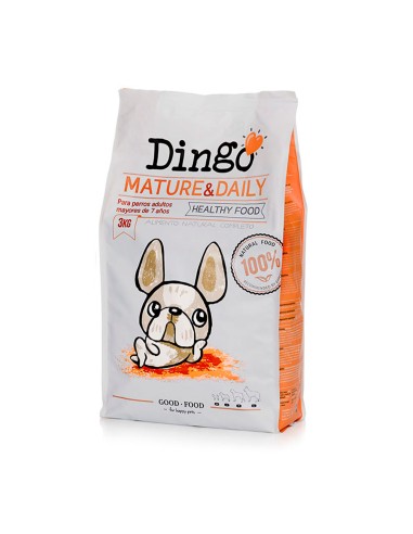 Dingo Mature Daily