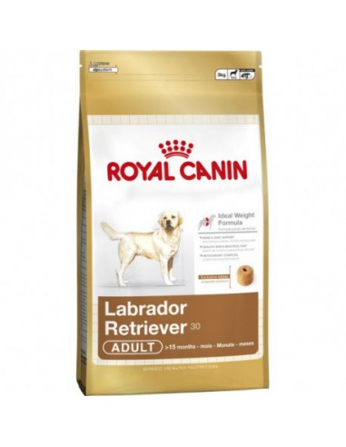 Royal Canin Labrador Retriever Adult