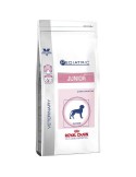 Royal Canin Vet Pediatric Junior para razas medianas