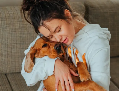 Cuando muere una mascota