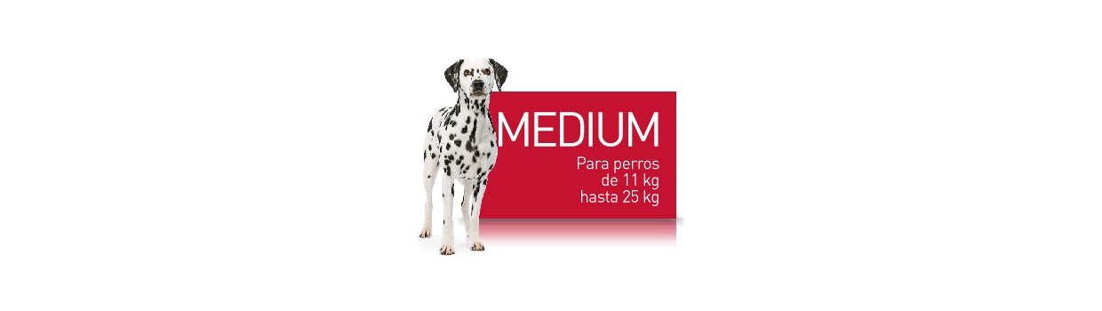 Pienso para perros Royal Canin Medium