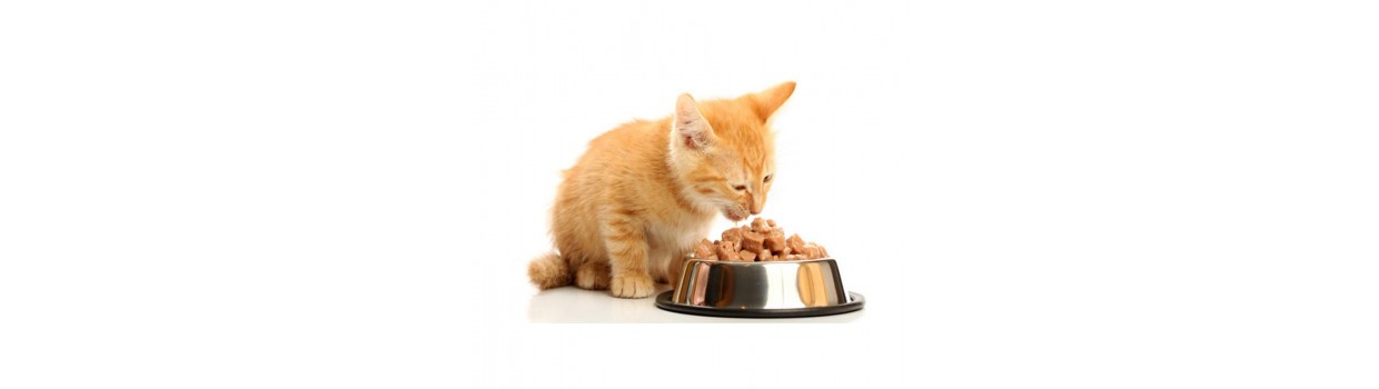 Ultima Cat Sterilized 48 x 85 g comida húmeda para gatos al mejor